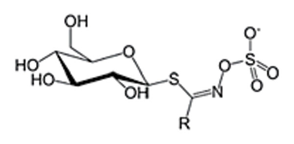 glucosinolate